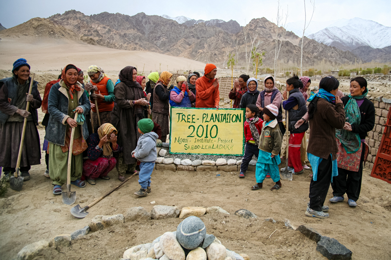 Institut N'Gari_Lancement Plantation